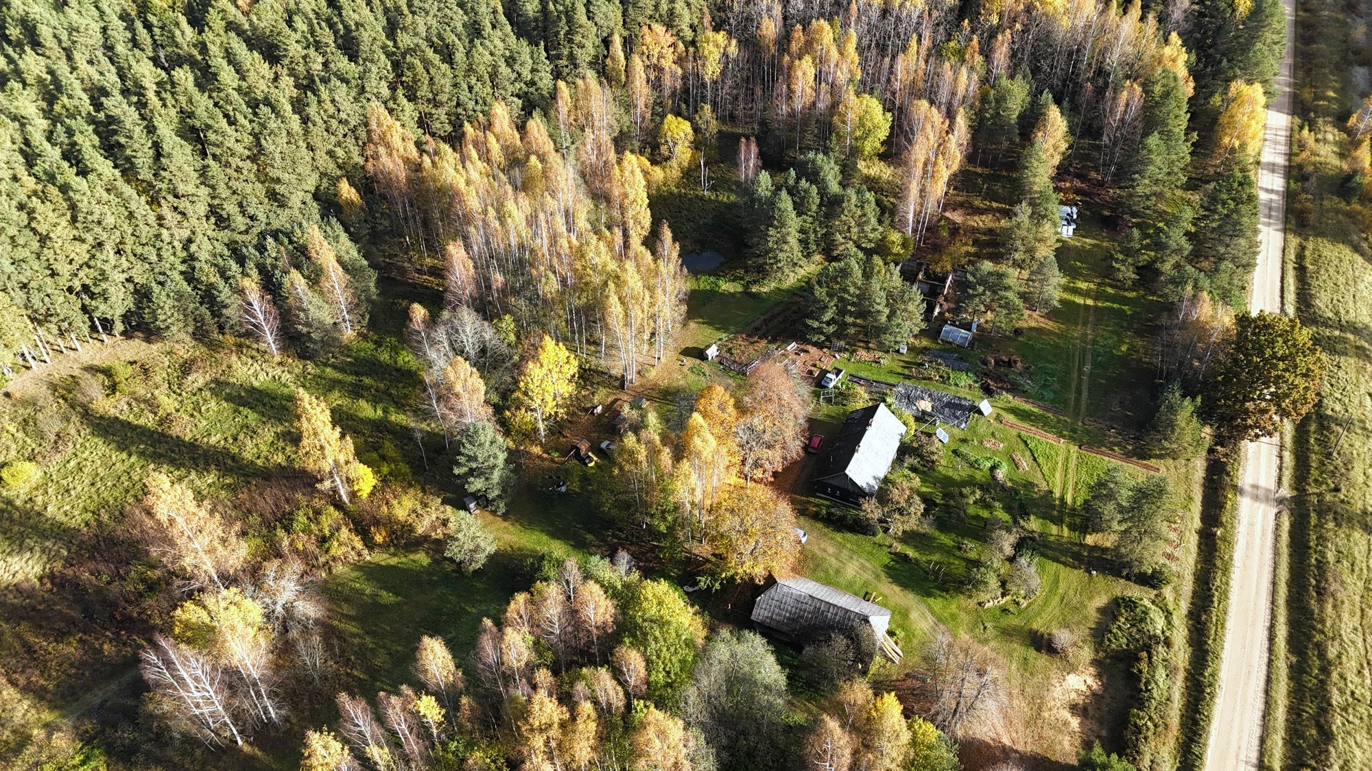 Homestead and autumn forest from the air