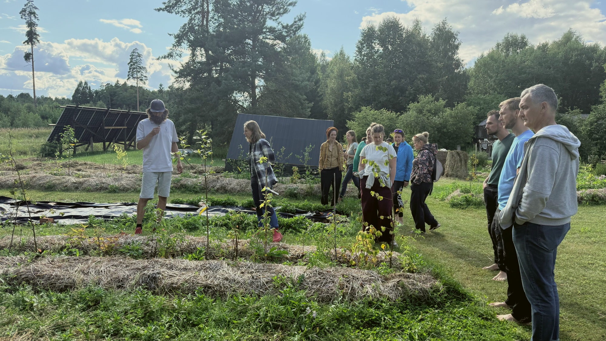 Field learning among syntropic garden rows